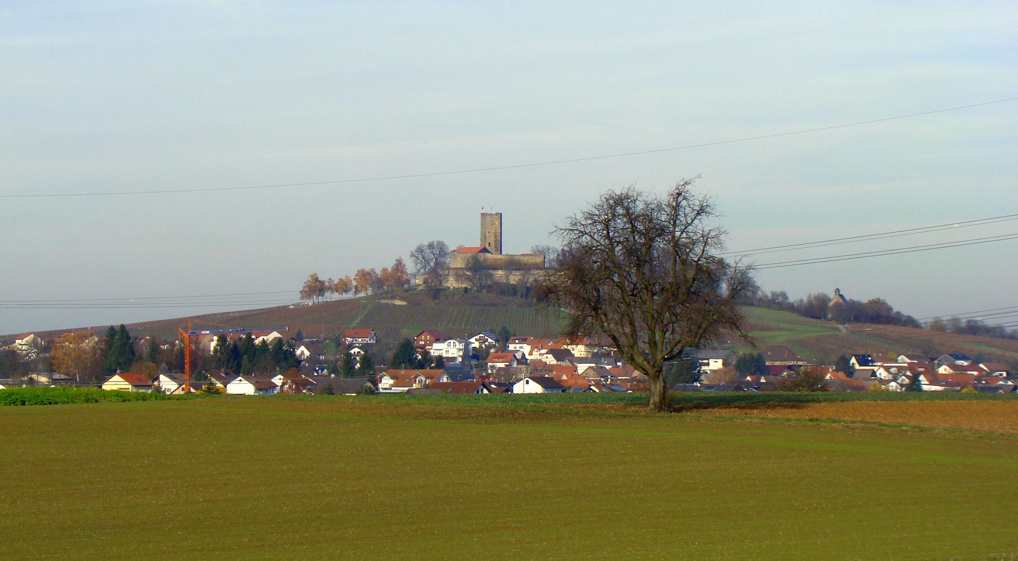 Warum wird die Burg Steinsberg Kompass des Kraichgaus genannt?
